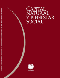 :Capital natural y bienestar social