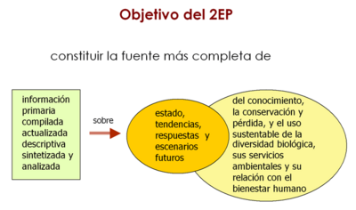 :Desarrollo de la temática del 2EP