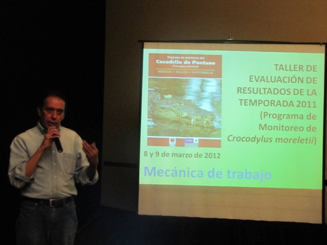 Reunión II