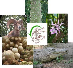Reunión de expertos sobre comercio internacional de flora y fauna