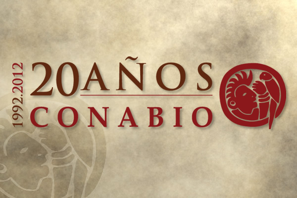 No se puede amar lo que no se conoce