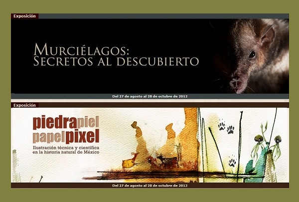 Piedra piel papel y pixel