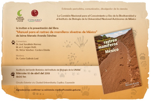 Piedra piel papel y pixel