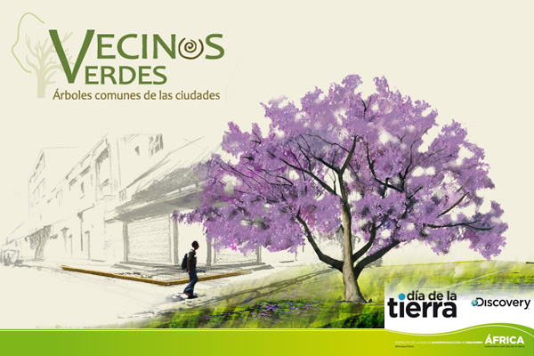 vecinos verdes discovery
