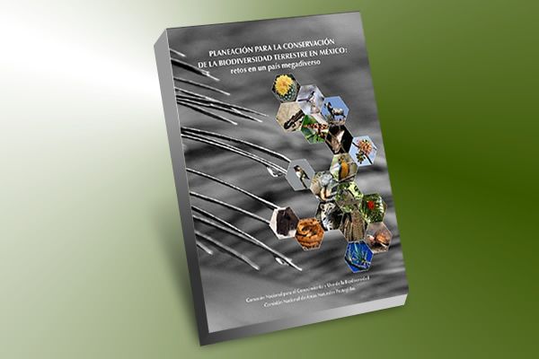 Planeación estratégica al descubierto