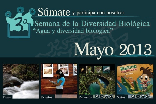 ¿Cómo celebrarás al Agua y a la Biodiversidad?