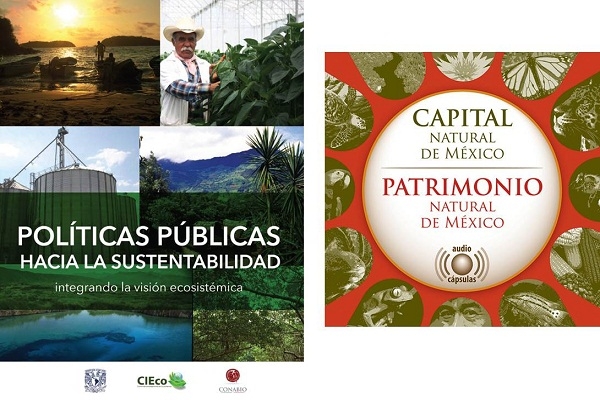 Leer, ver y escuchar para acercarnos al conocimiento